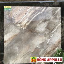 Gạch lát  nền 8080 phòng khách giá rẻ HONGAPPOLLO